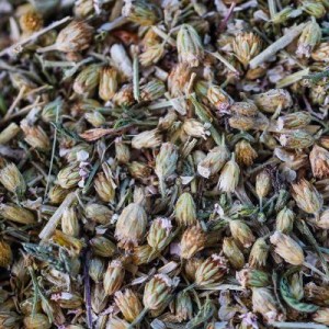 Achillée millefeuille Sommités fleuries Bio 35 g *